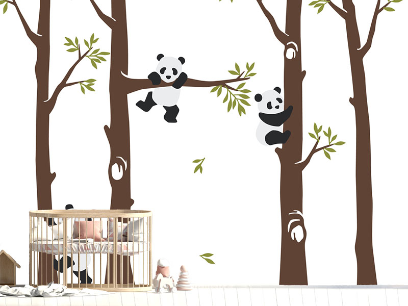 Panda Avantura Panda Avantura