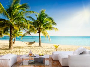 Bahami 004