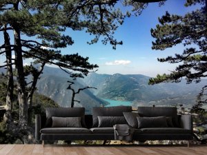 Pogled Kroz Borove Na Planinsku Dolinu Pogled Kroz Borove Na Planinsku Dolinu